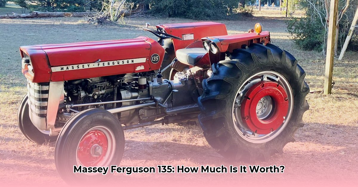 massey-ferguson-tractor-135